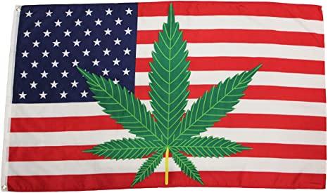 USA 50 States Leaf Flag 3'X5' Flag ROUGH TEX® 100D