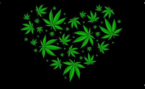 Cannabis Heart Black 3'x5' Flag ROUGH TEX® 68D Nylon